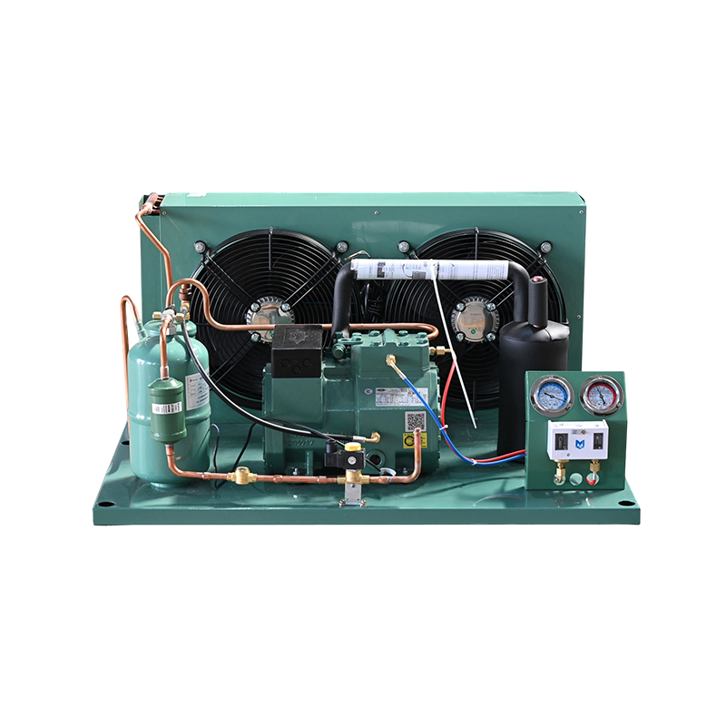 Unit Sekrup Bitzer